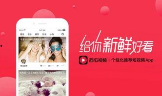 娱乐吃瓜封面如何做视频